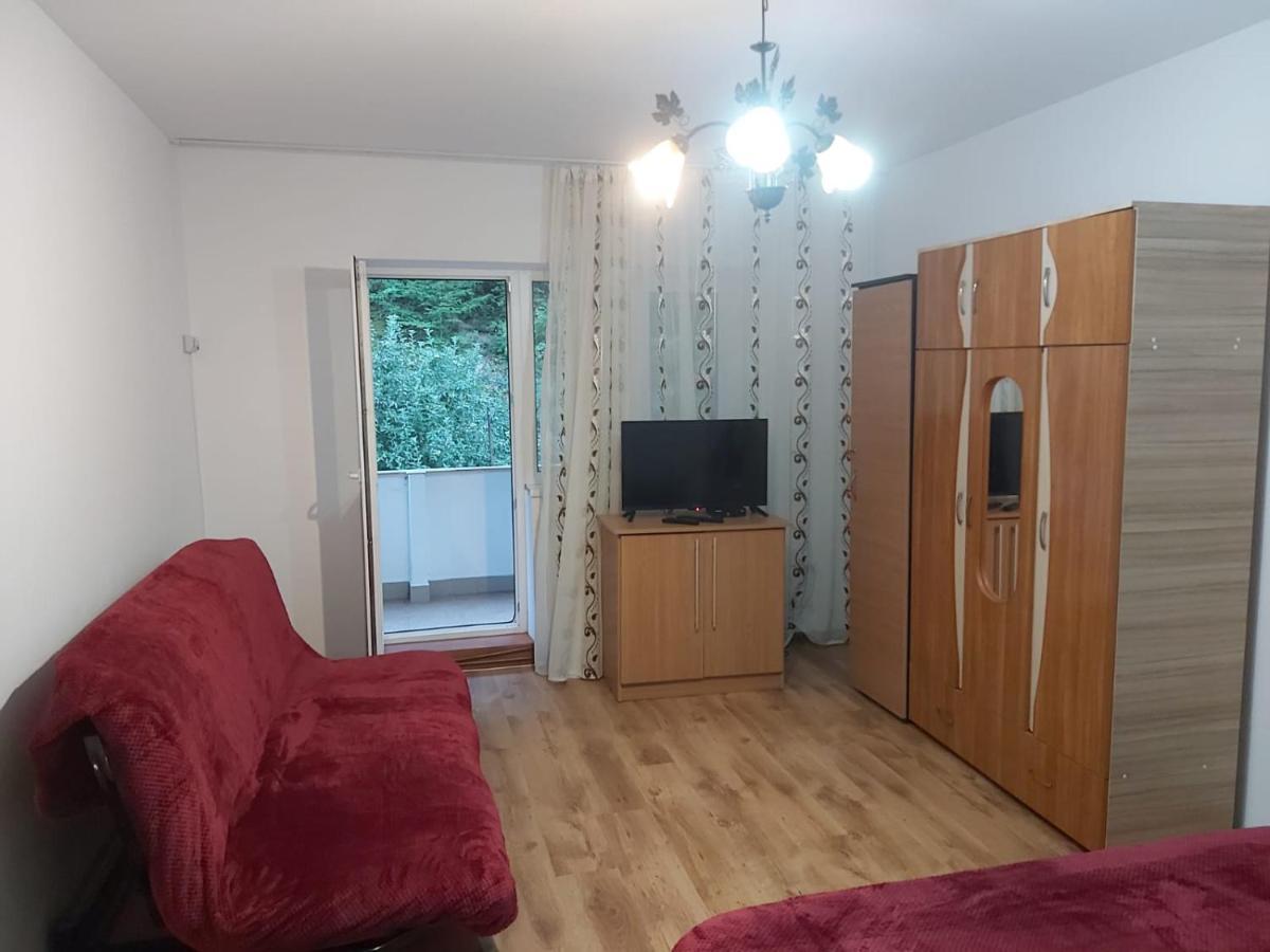 Apartament Nemira Slănic-Moldova Exteriér fotografie